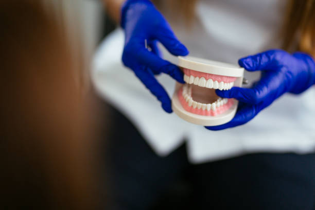  Shakopee, MN Holistic Dental Care Services Pros